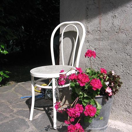 B&B Bosco Fiorito Malgesso Esterno foto